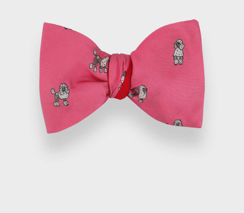 Poodle Bow Tie - CINABRE Paris