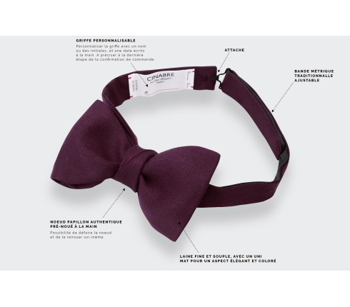 Plain Eggplant Bow Tie - Cinabre Paris