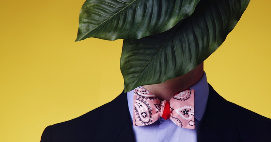 Ties and bow ties Bandana Collection